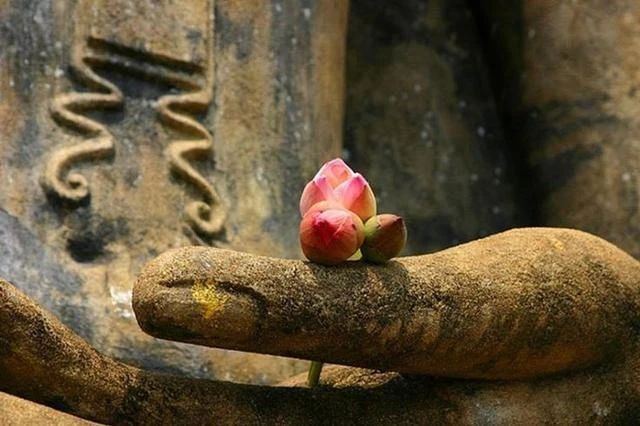 不可少善根福德因缘