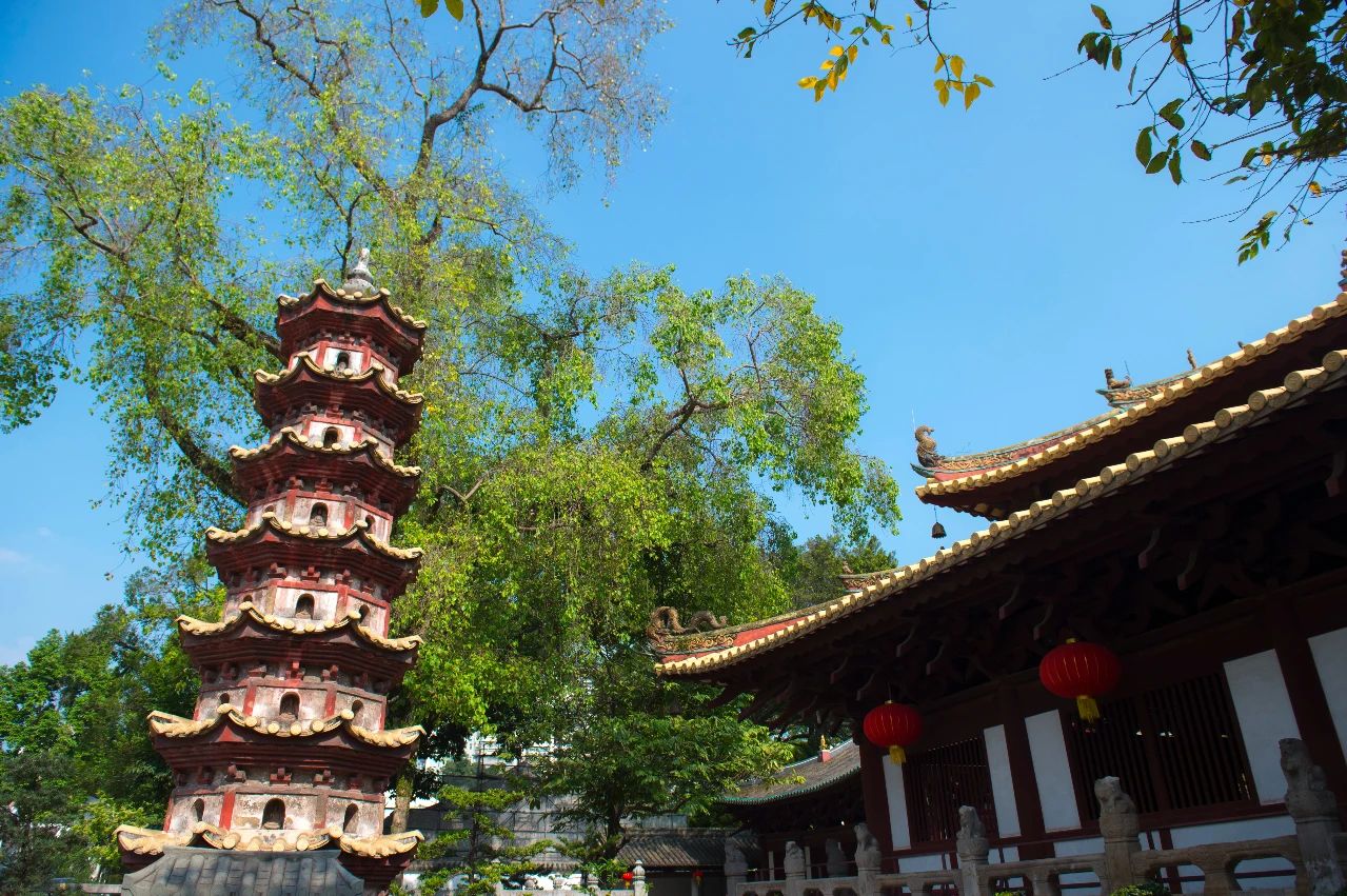 不可少善根福德因缘