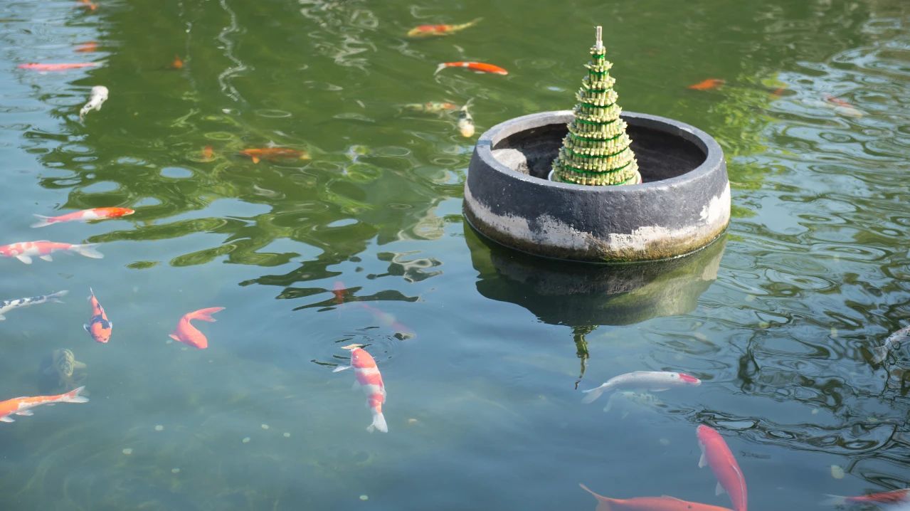 不可少善根福德因缘