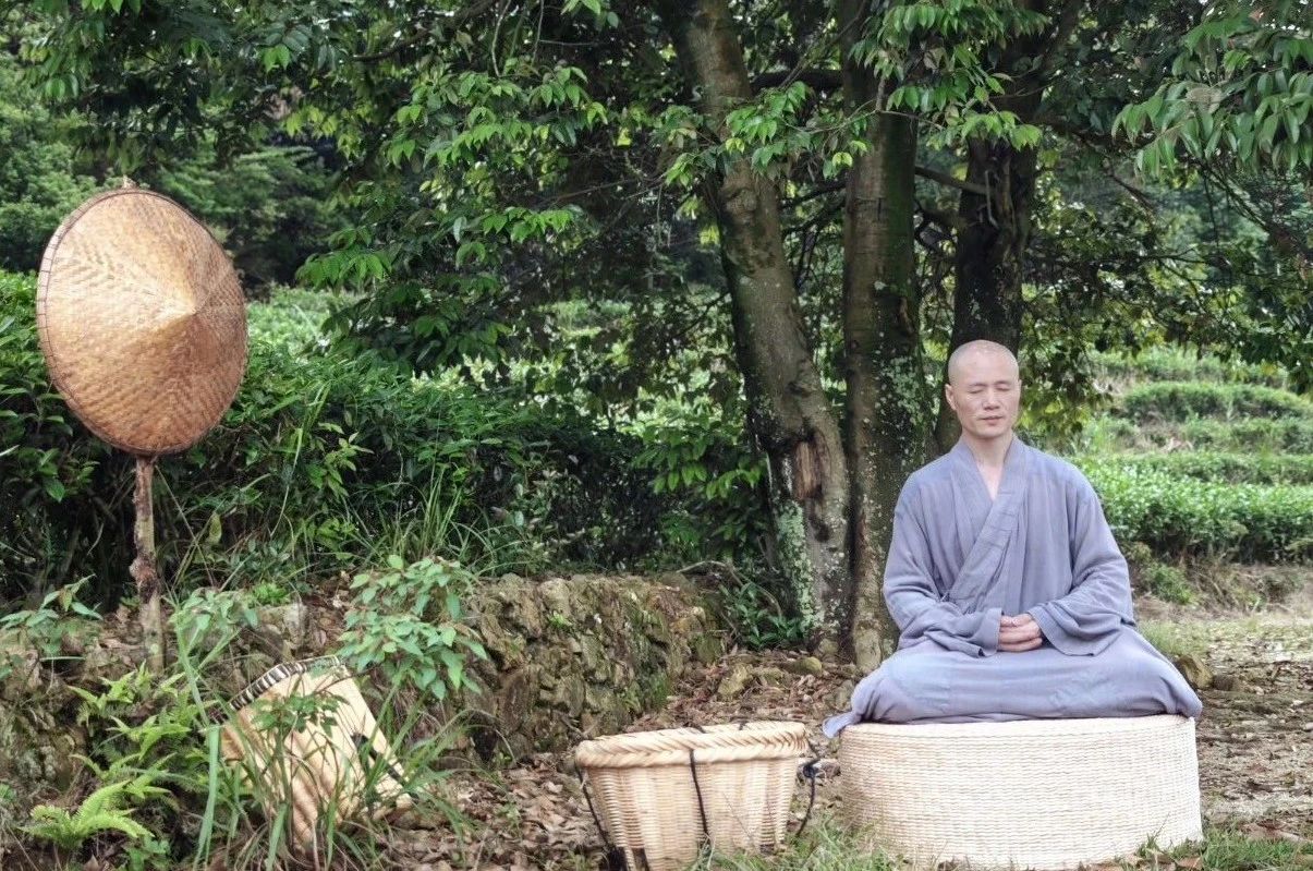 2025年龟山寺第1期十日禅修营3.1~3.10