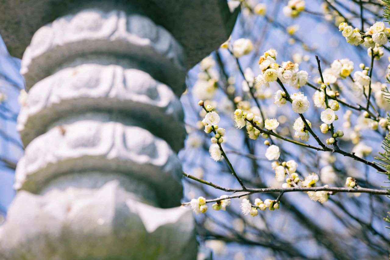 修行第一步，要学会真实的忏悔