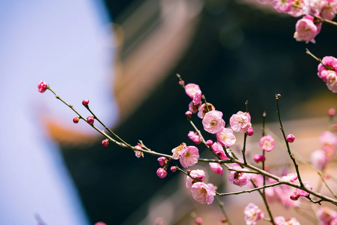 修行第一步，要学会真实的忏悔