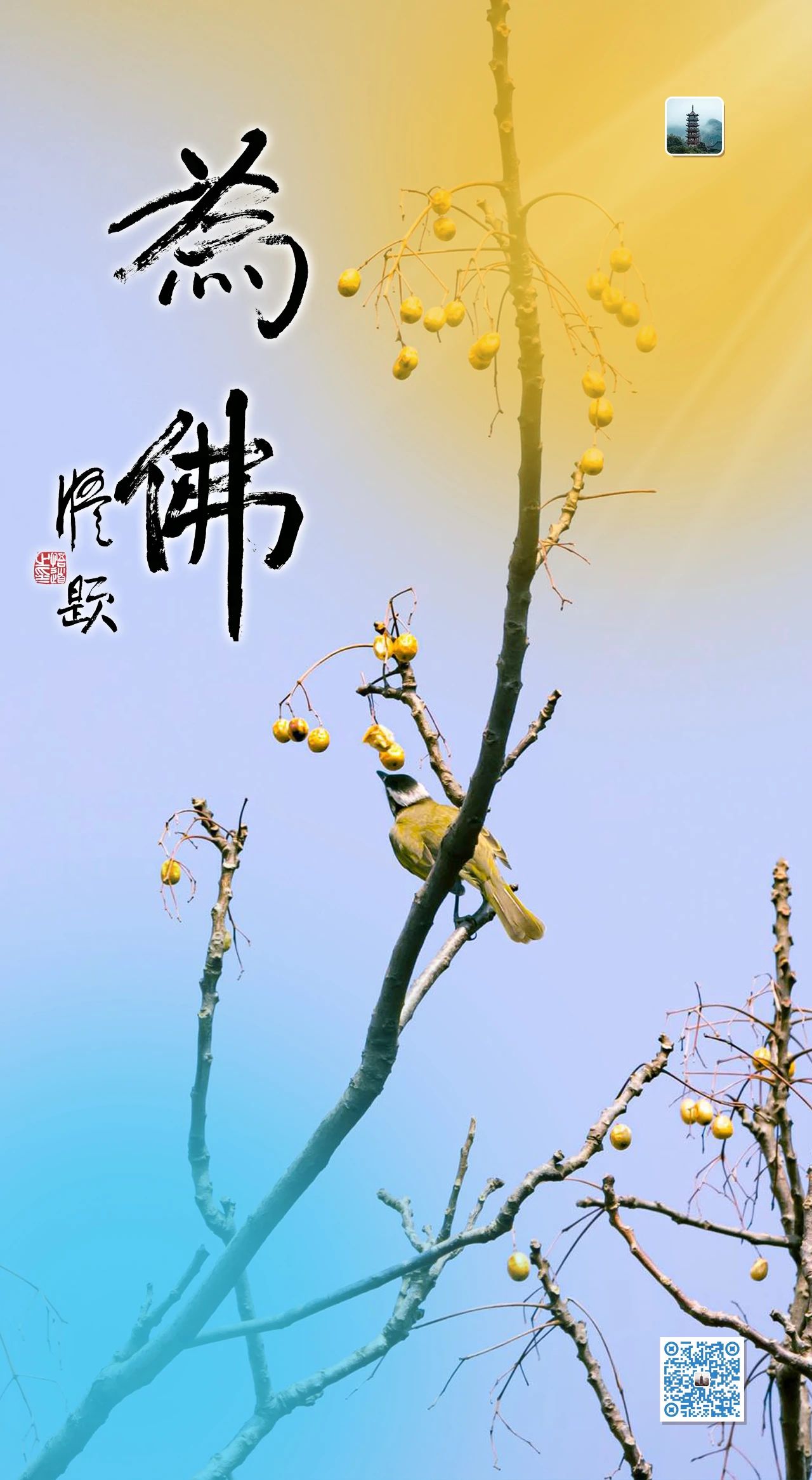 学佛，要规避这些……