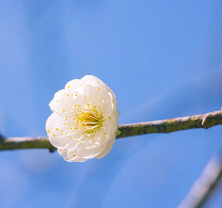 学佛，要规避这些……