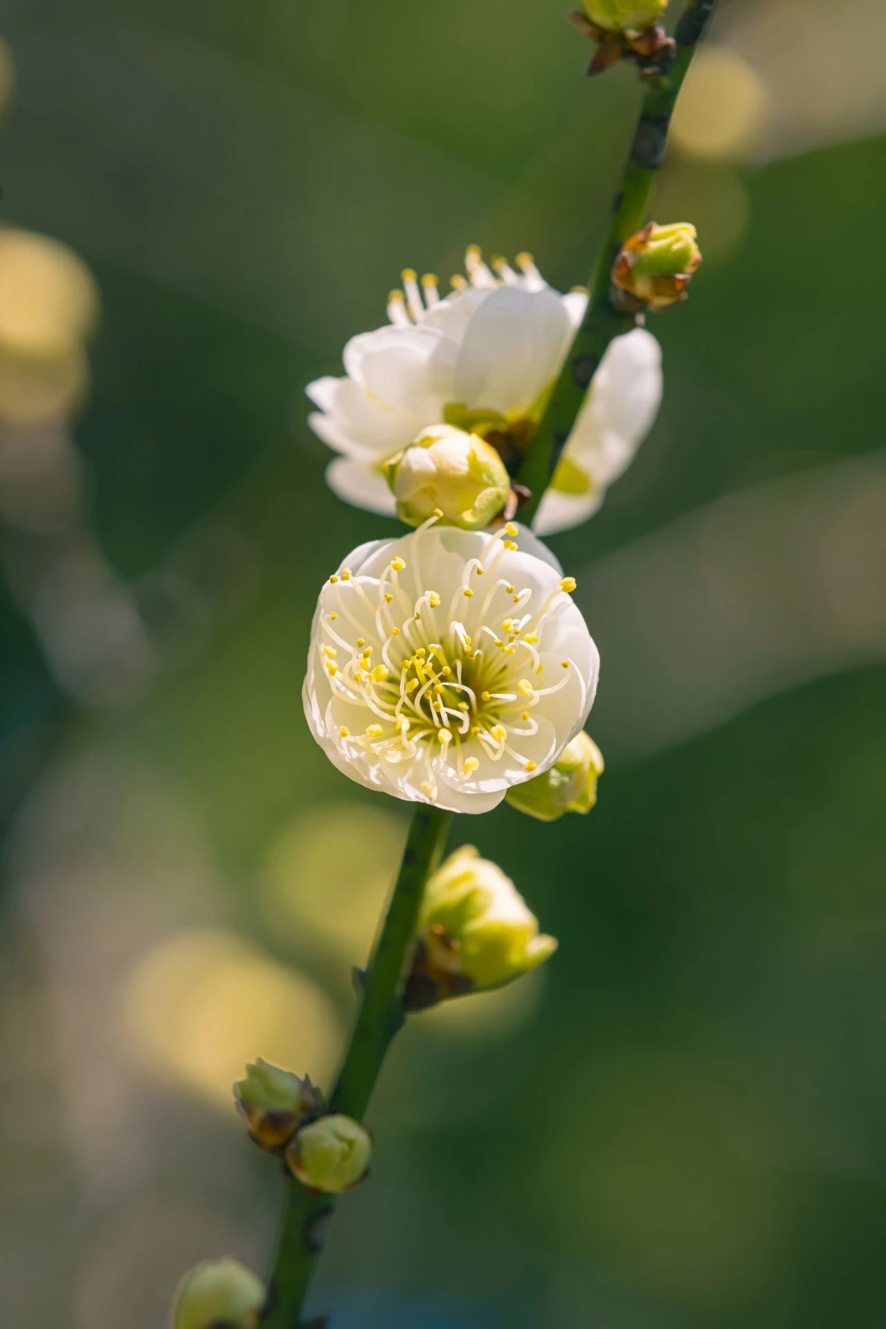 学佛，要规避这些……