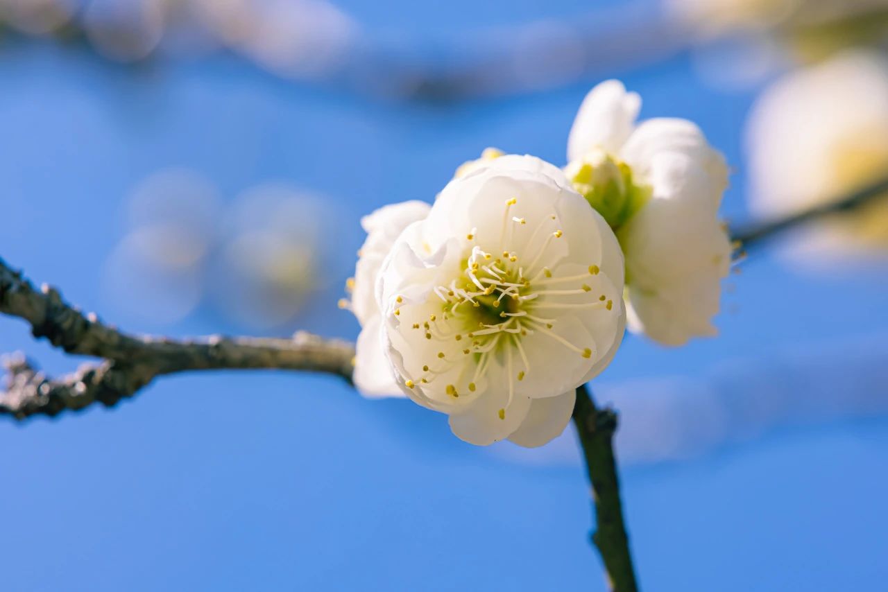 学佛，要规避这些……