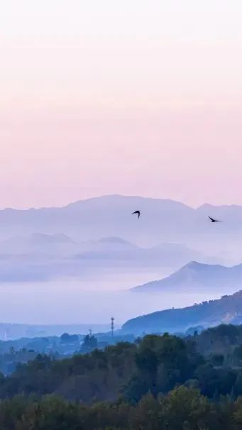 学佛，要规避这些……