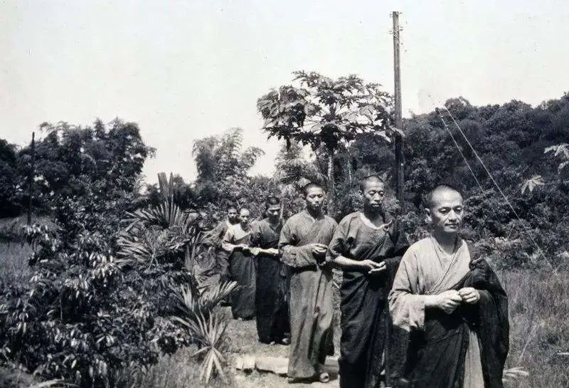 忏云老和尚：不用功便罢，一用功才知道我们整天都是妄想杂念！