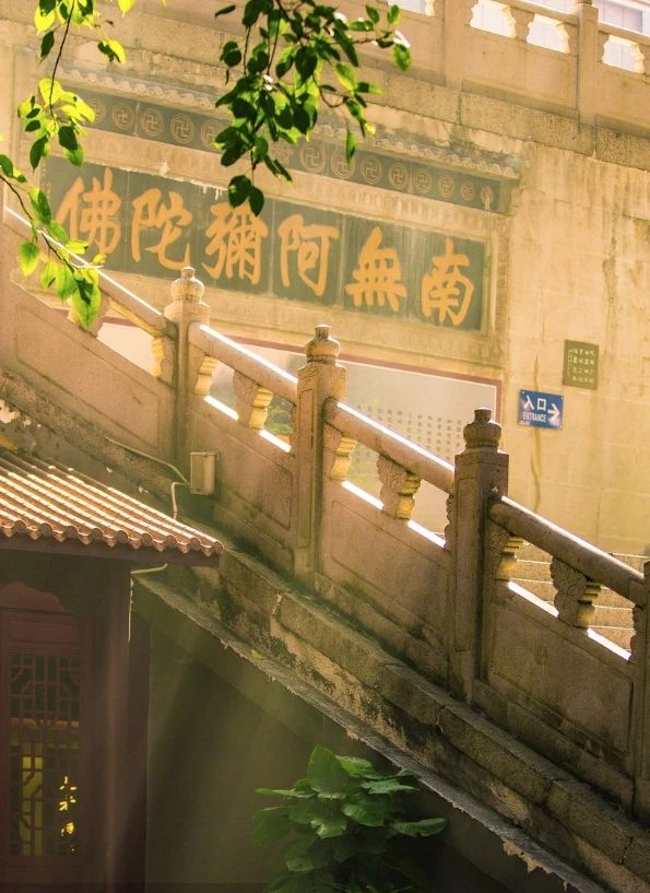 执念之苦与当下之安：一则寓言的启示