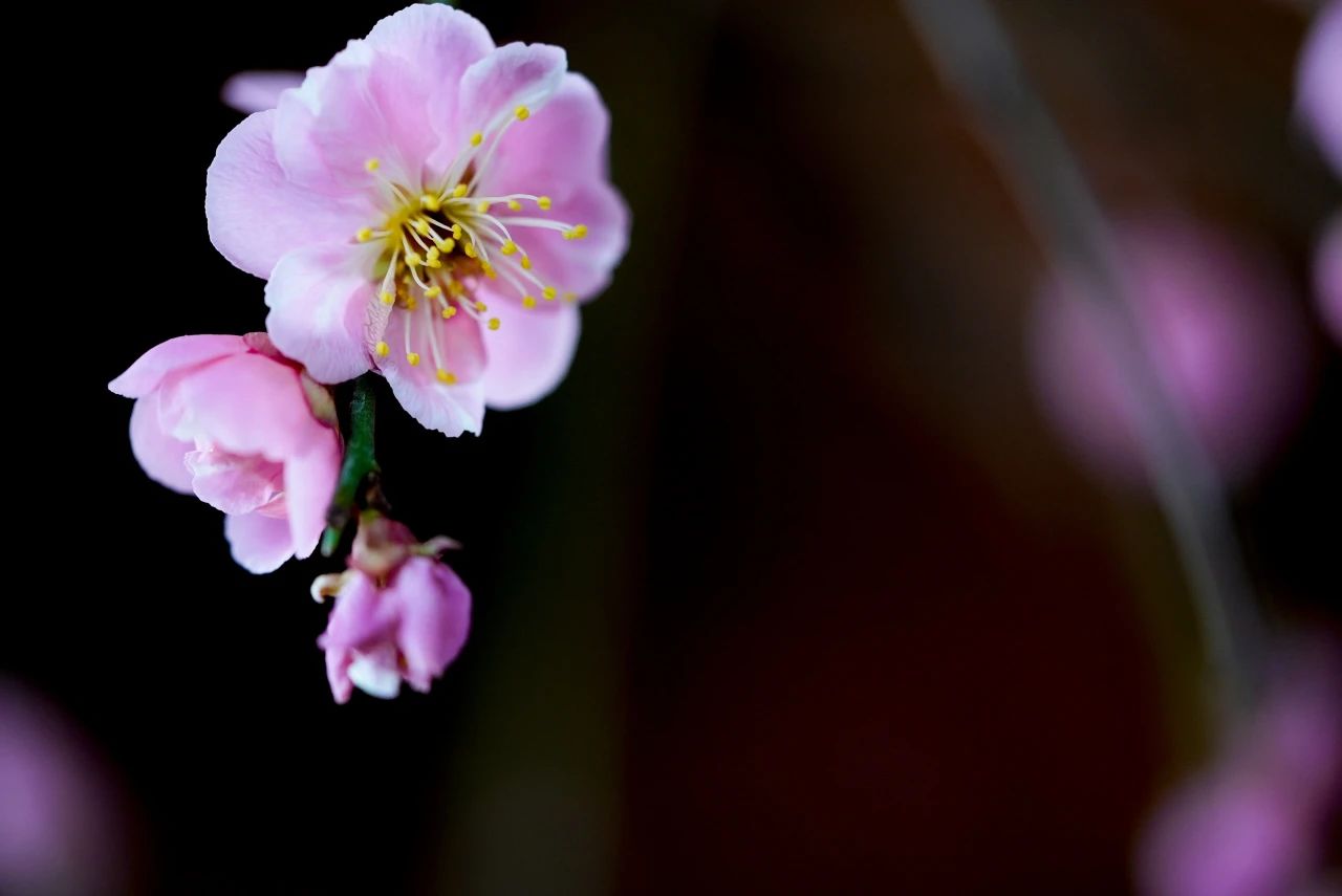 规矩就是戒，也是窍诀