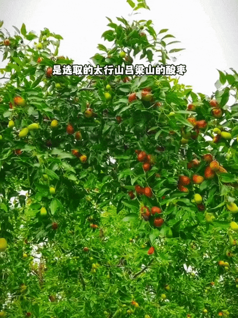 有人靠“吃土”睡得好？！ ！睡饱12h还刮油！