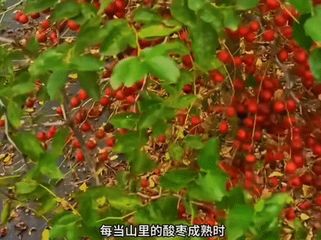 有人靠“吃土”睡得好？！ ！睡饱12h还刮油！