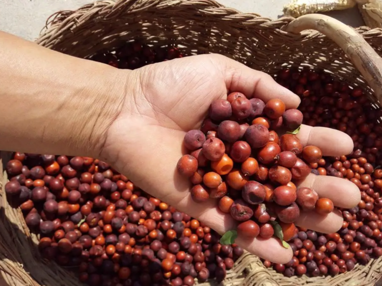 有人靠“吃土”睡得好？！ ！睡饱12h还刮油！