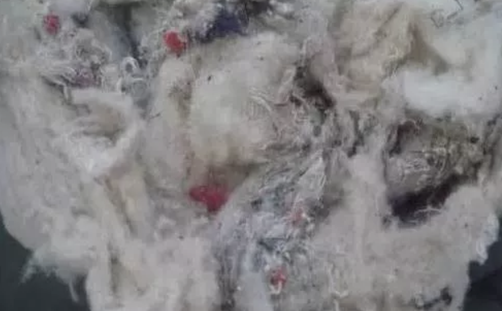 这件羽绒棉服太好穿了，谁买谁知道！