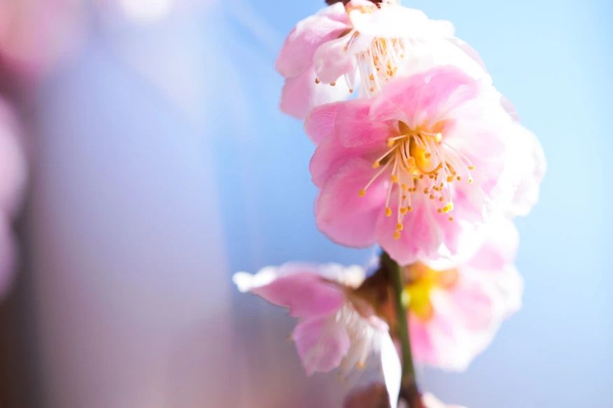 这背后的皈依处，是如如不动的