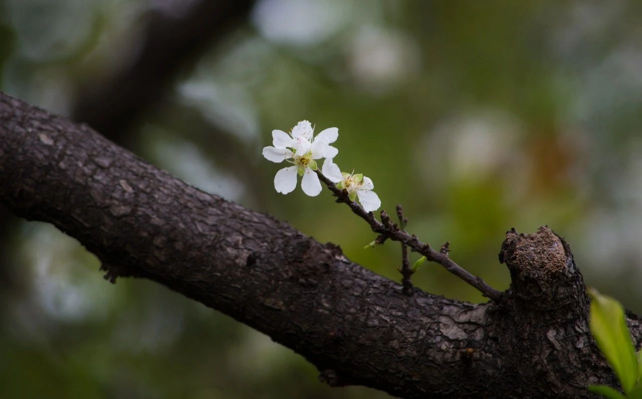 平常心不是“看破红尘”