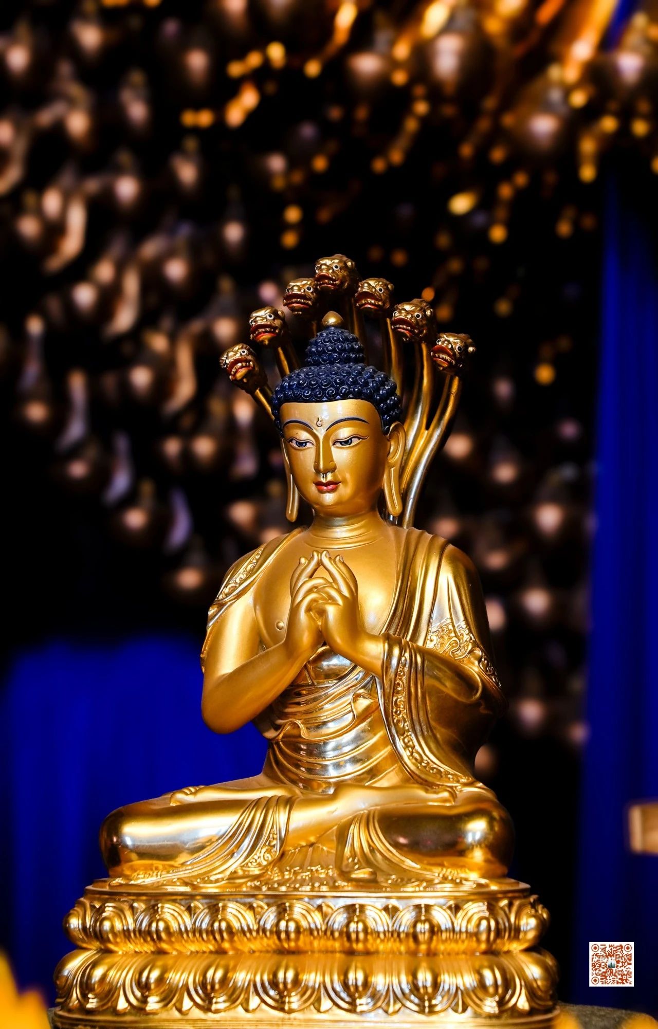 僧团的建设要在法中去摄，法中去成就