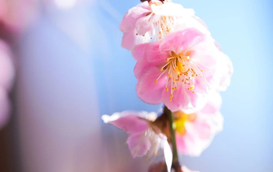 僧团的建设要在法中去摄，法中去成就