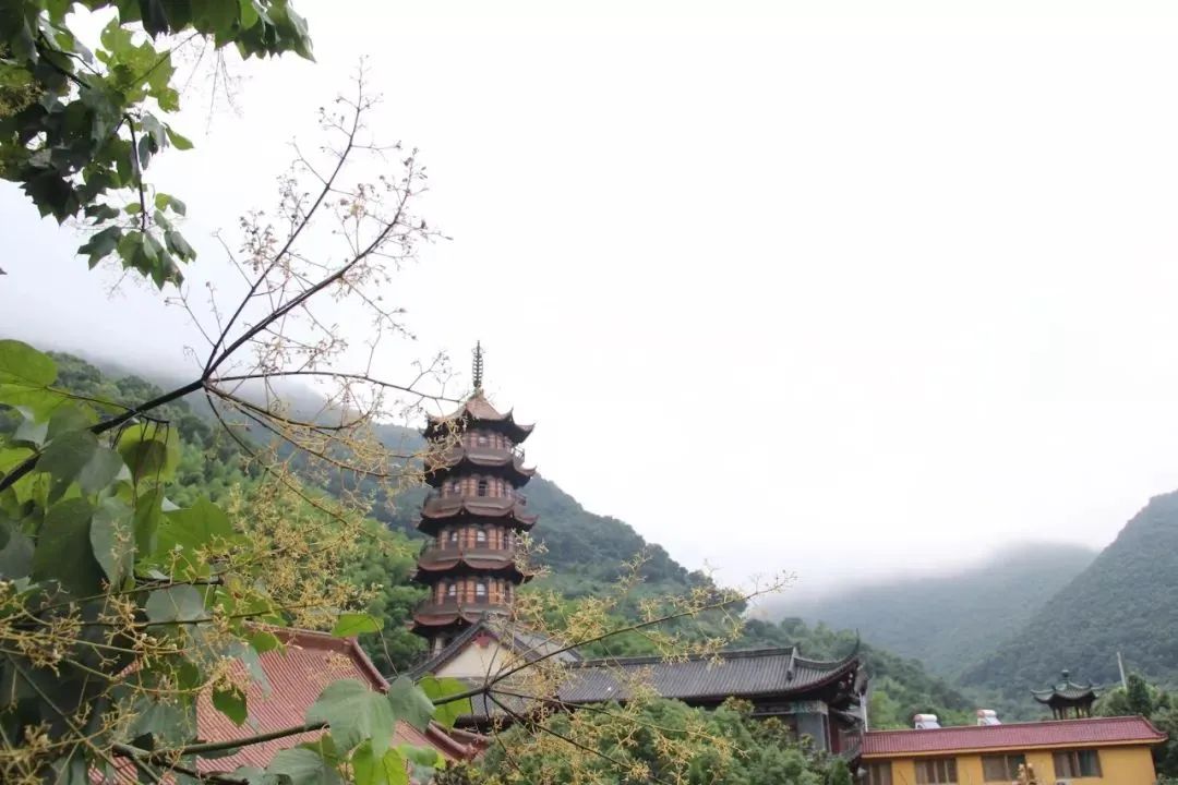 “心外无法，满目青山” 只要念着， 就会很安定