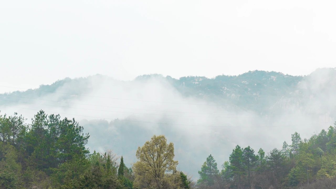 “心外无法，满目青山” 只要念着， 就会很安定