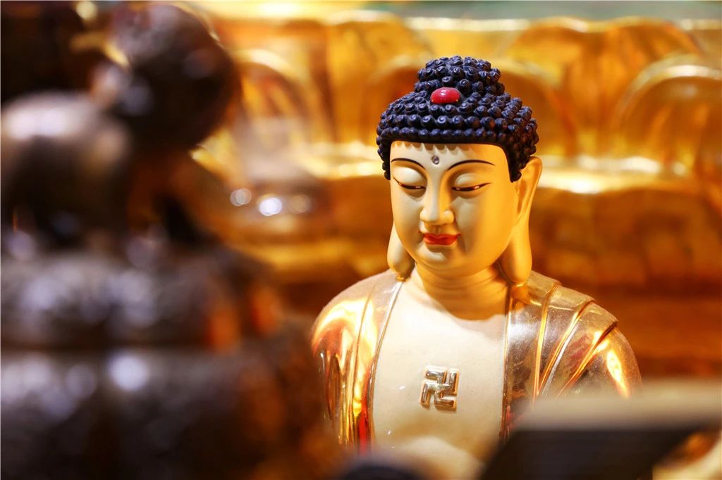 解开怨恨的结，才有明天的路