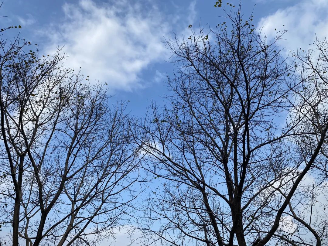 如何帮助一个人提升？