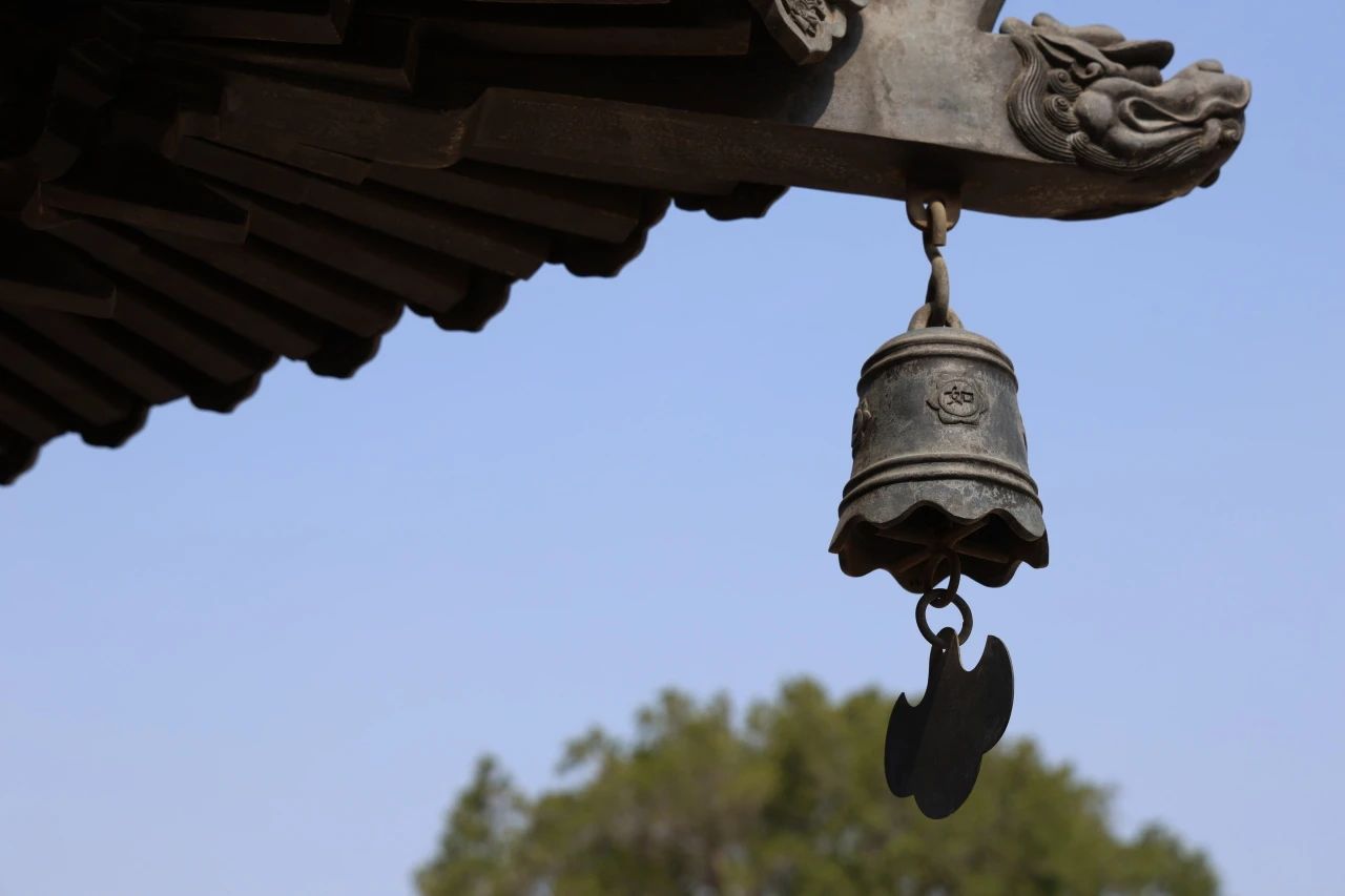 一空法师：用佛教智慧消释精神内耗