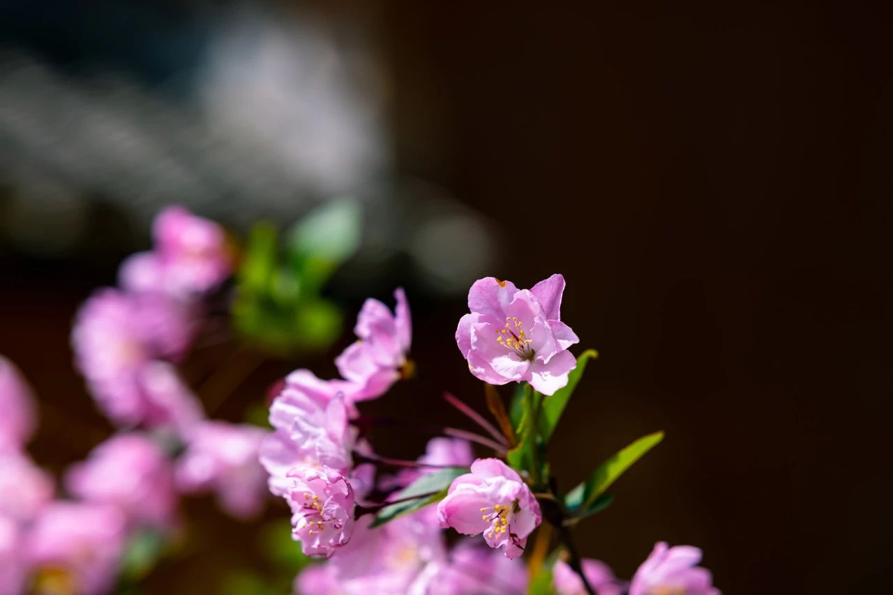要时刻提醒自己，修行之路不退转