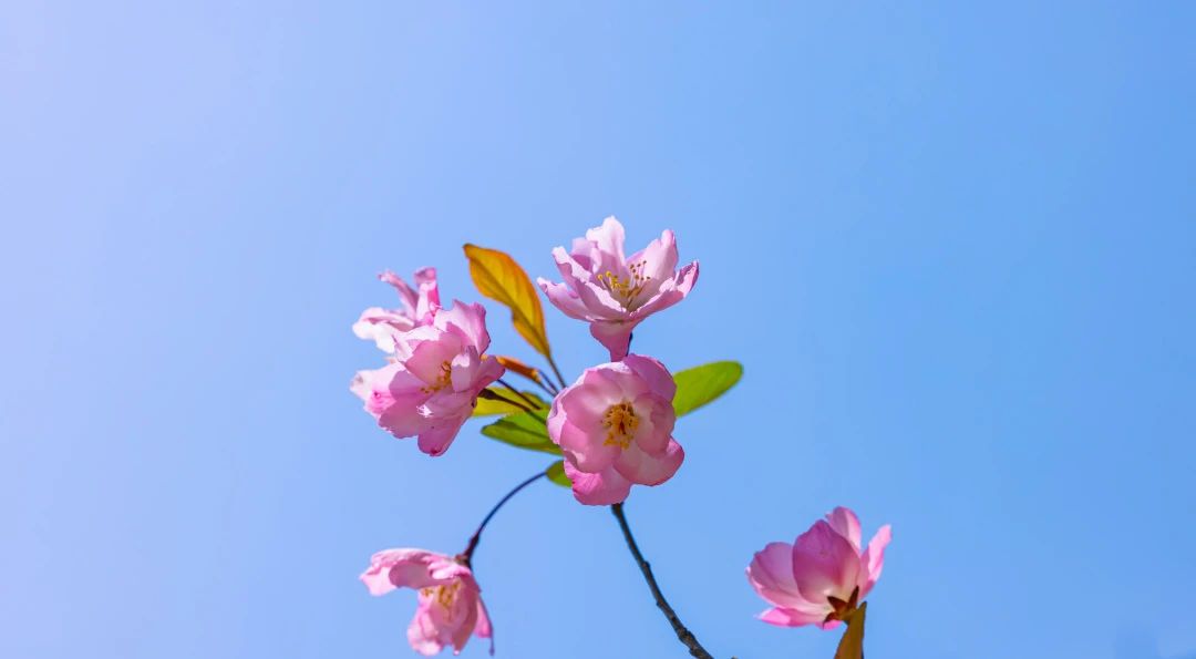 要时刻提醒自己，修行之路不退转