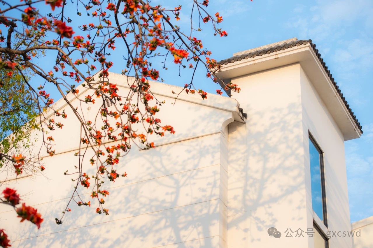 如何有效对治愤怒？