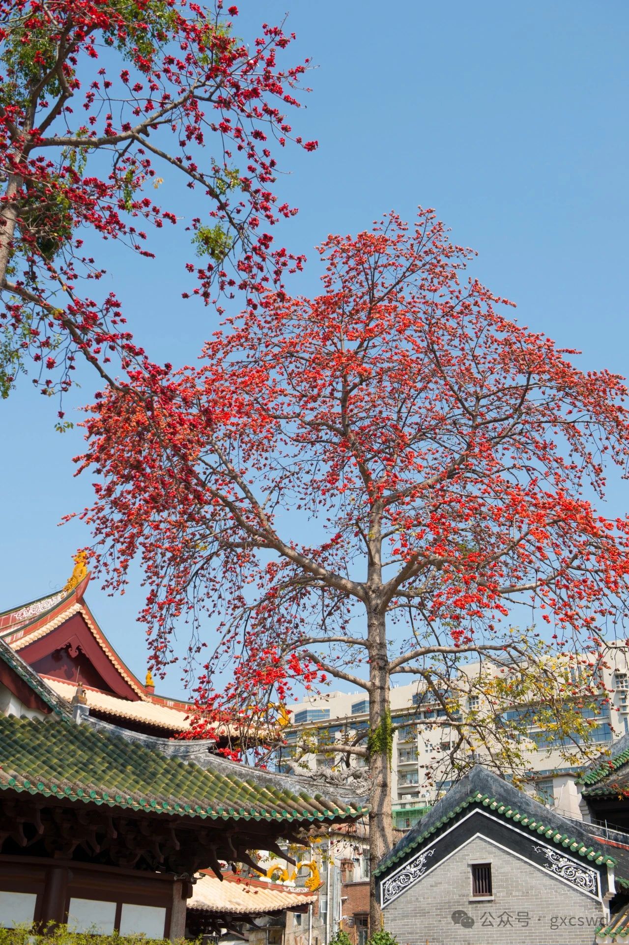 如何有效对治愤怒？