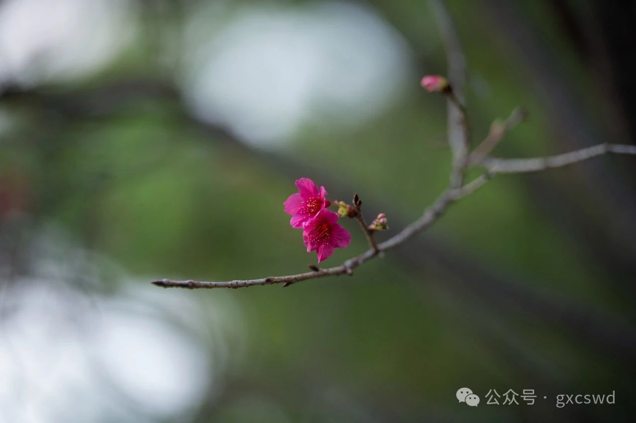 如何有效对治愤怒？