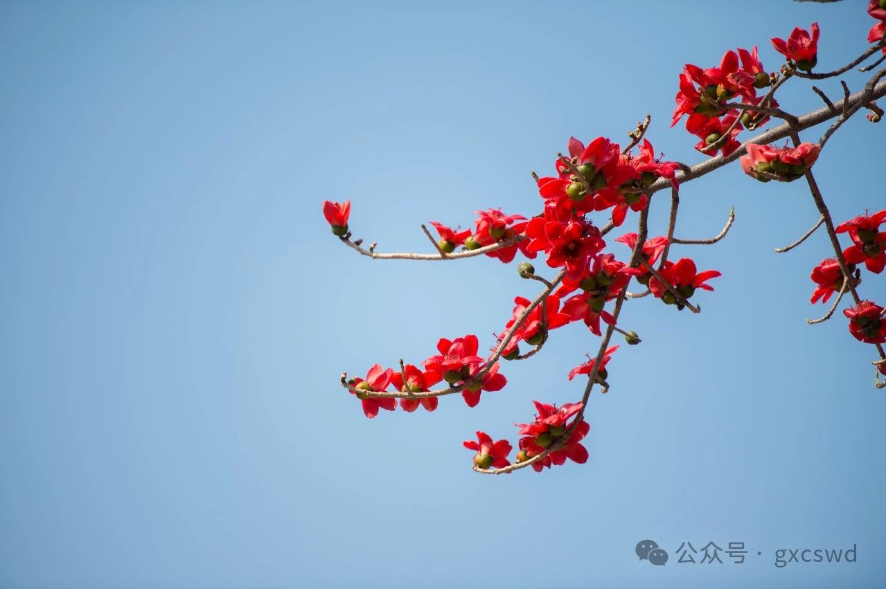 如何有效对治愤怒？