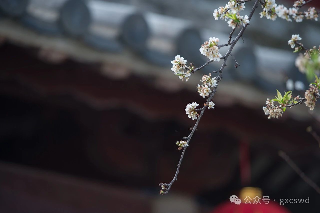 如何有效对治愤怒？