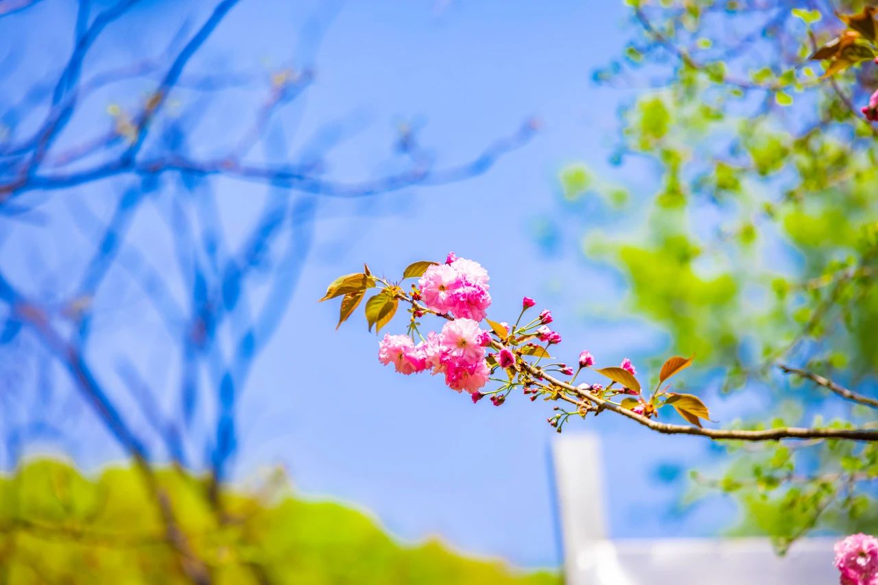 放下这“轮回的总持”，就还有希望