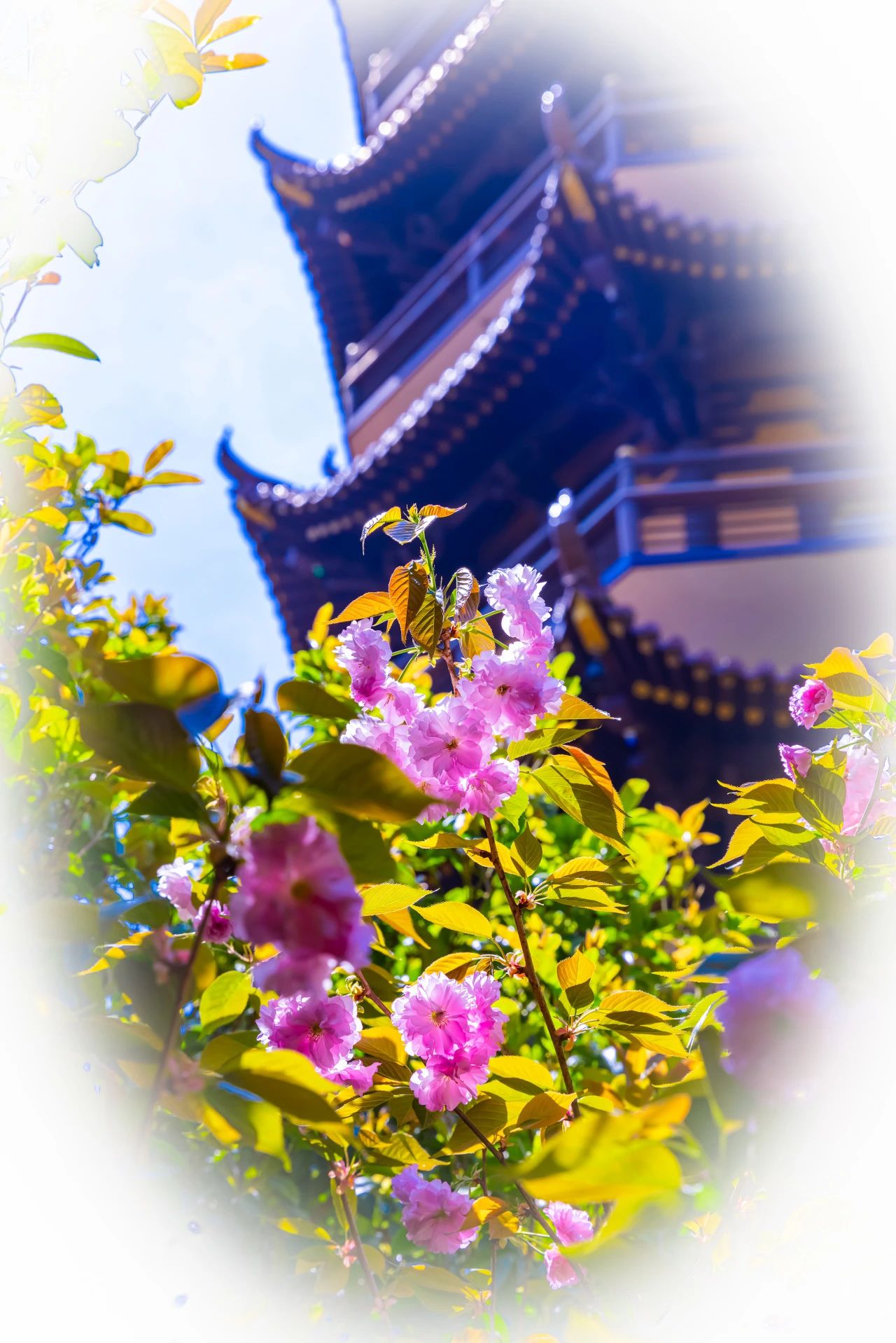 放下这“轮回的总持”，就还有希望