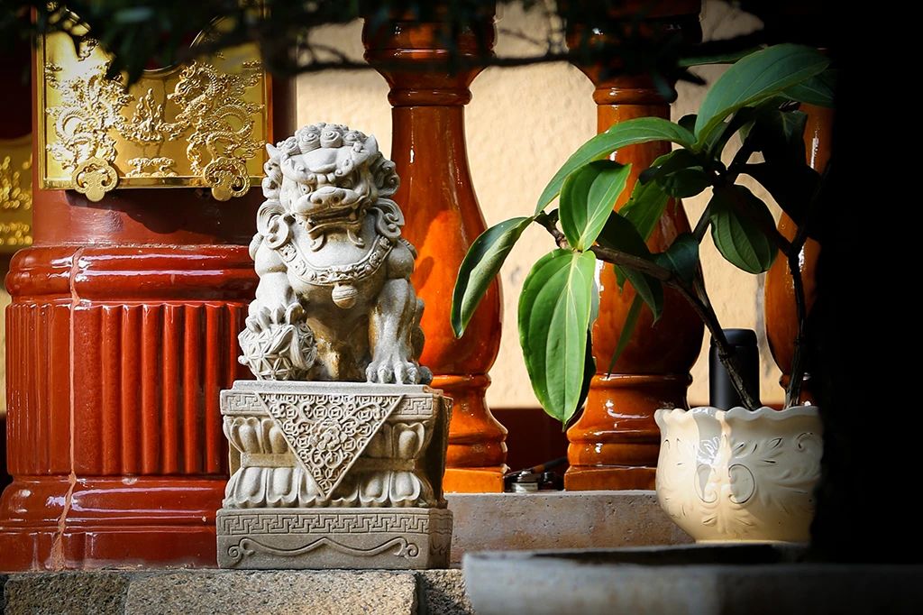 做好事别问亏不亏，时间会给你答案