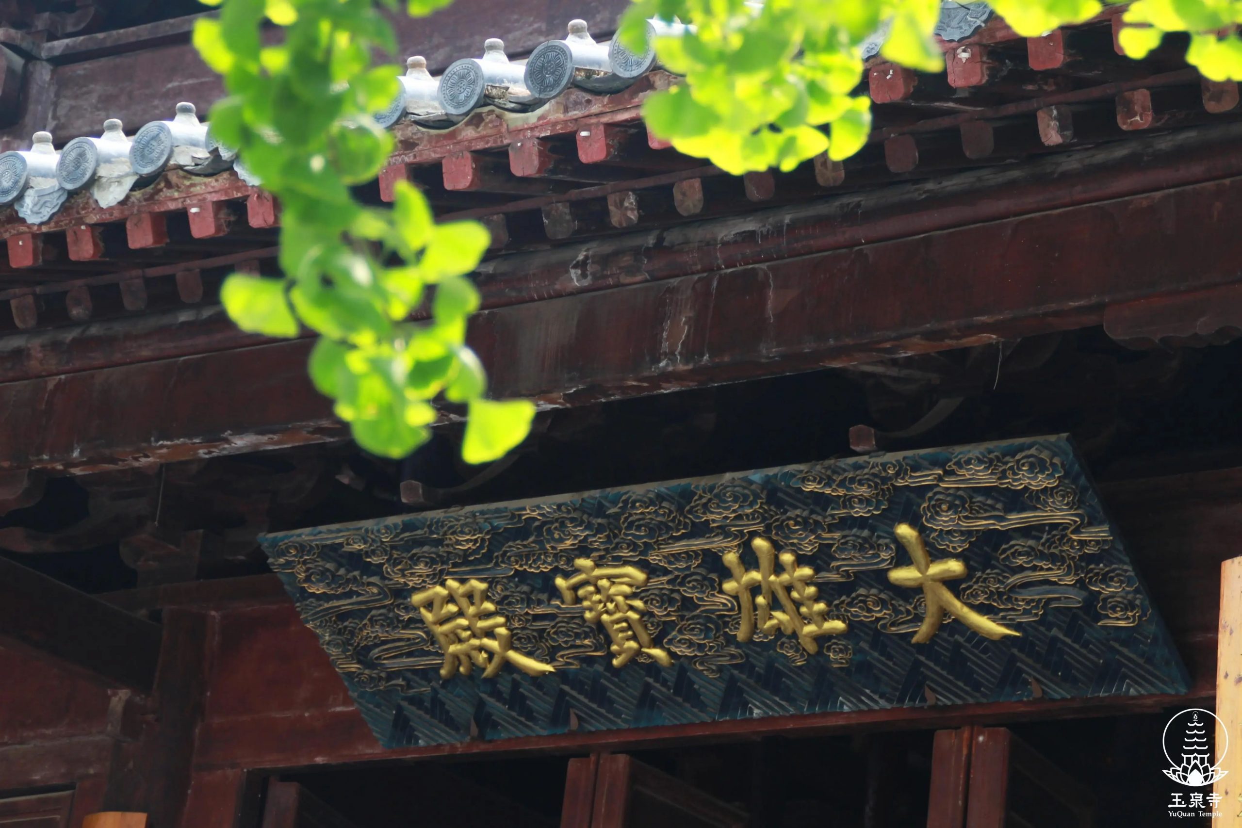 佛学角度看健康 | 试试不花钱提升健康