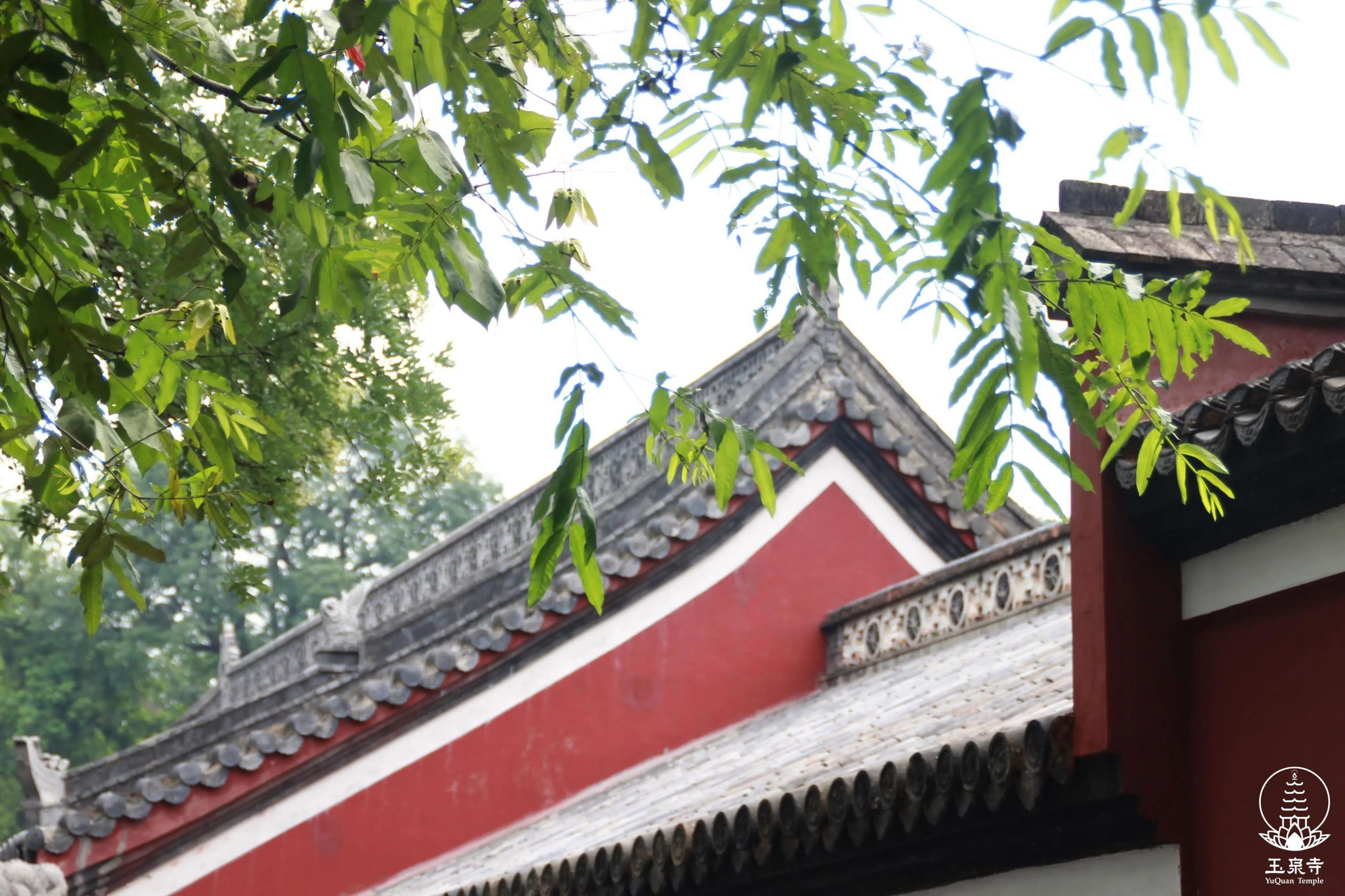 佛学角度看健康 | 试试不花钱提升健康