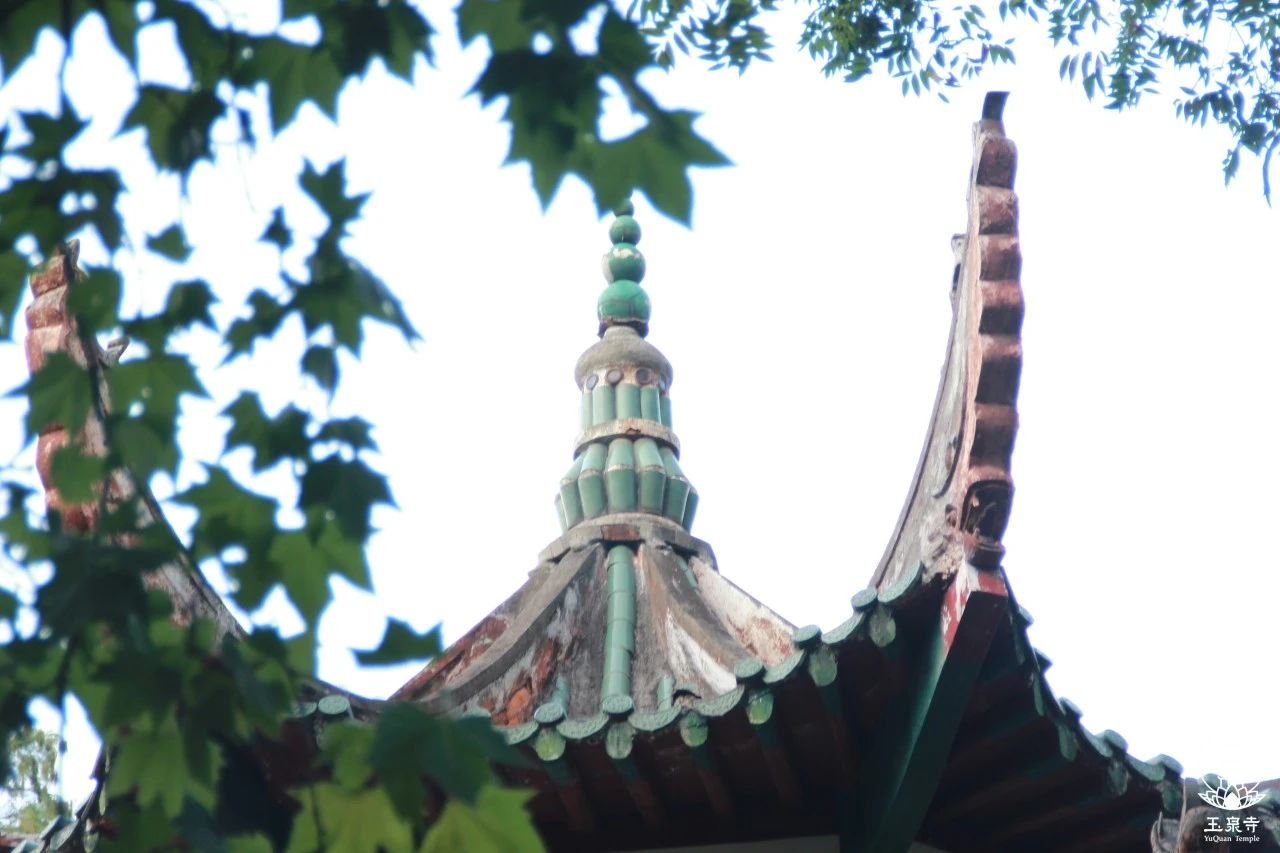 佛学角度看健康 | 试试不花钱提升健康