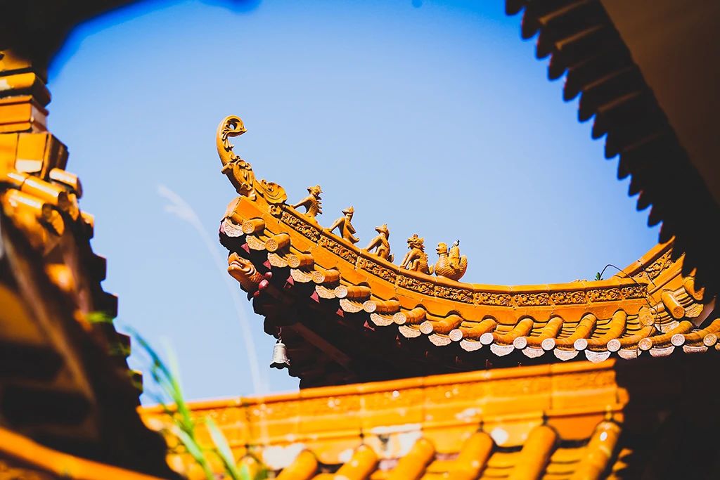 普贤菩萨压箱底的秘诀：越舍得越得到