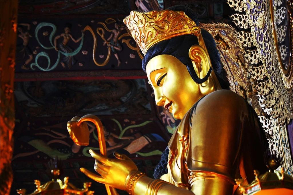 点滴善行，聚德成山