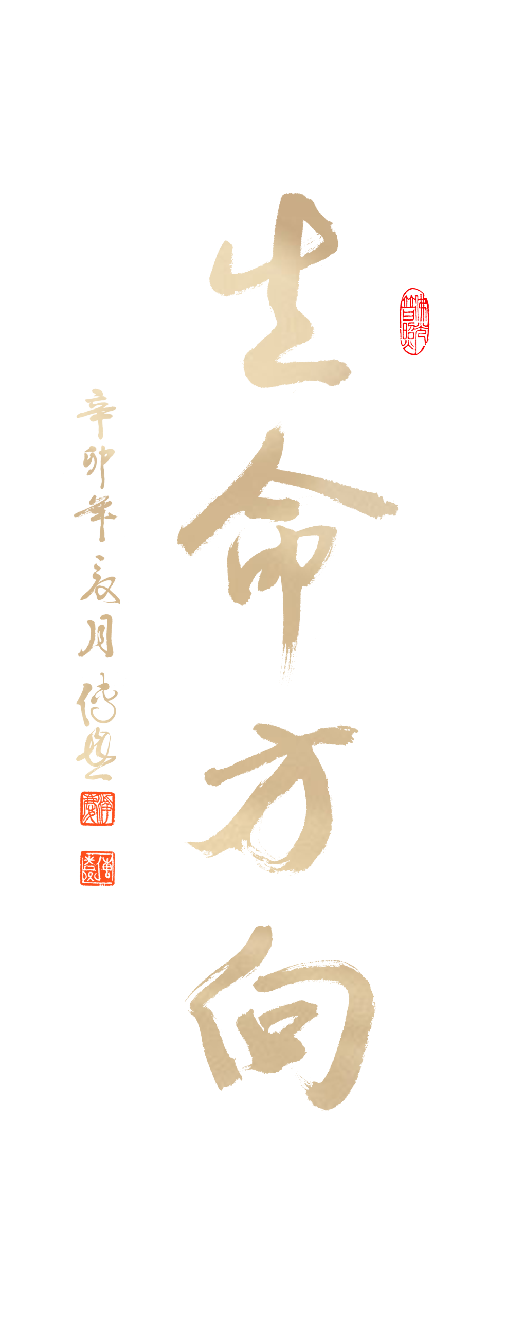 你的善恶，正在无限放大