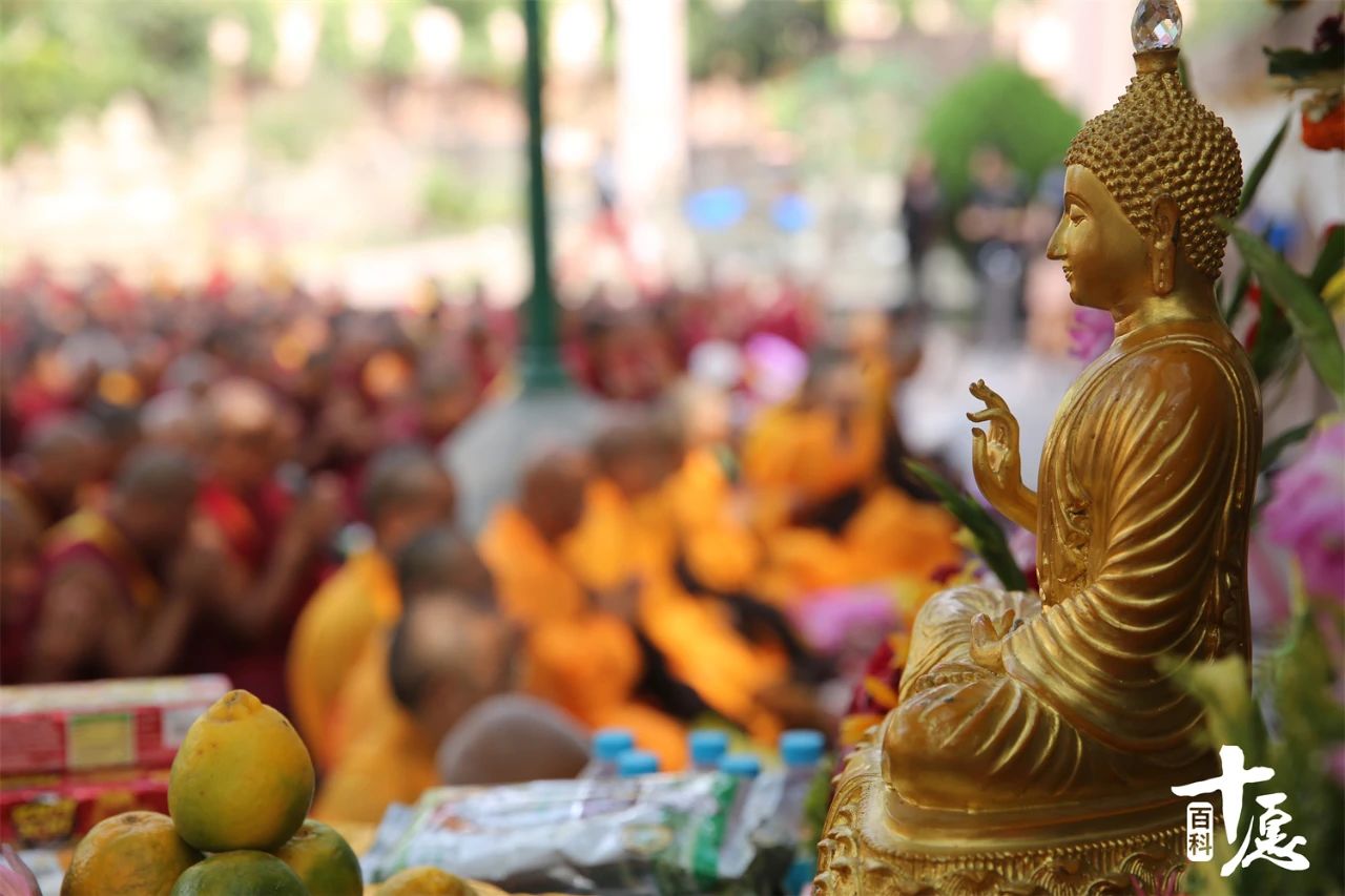 当头棒喝！佛源老和尚：好铁成钉，莫作烂铁