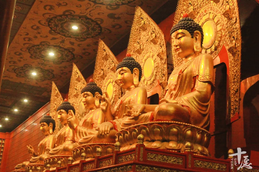 明星学佛不为人知的“三重门”！宗舜法师谈王菲、李连杰