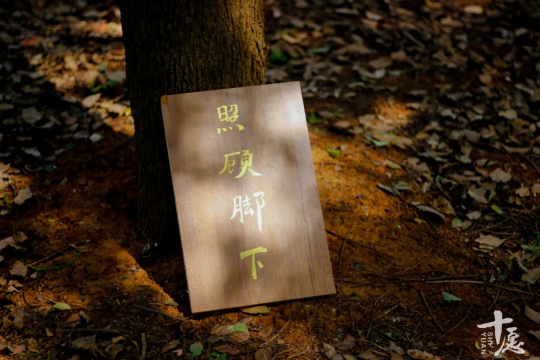 明星学佛不为人知的“三重门”！宗舜法师谈王菲、李连杰