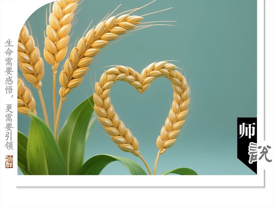 济群法师：种啥都不如种善根