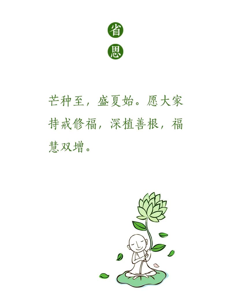 济群法师：种啥都不如种善根