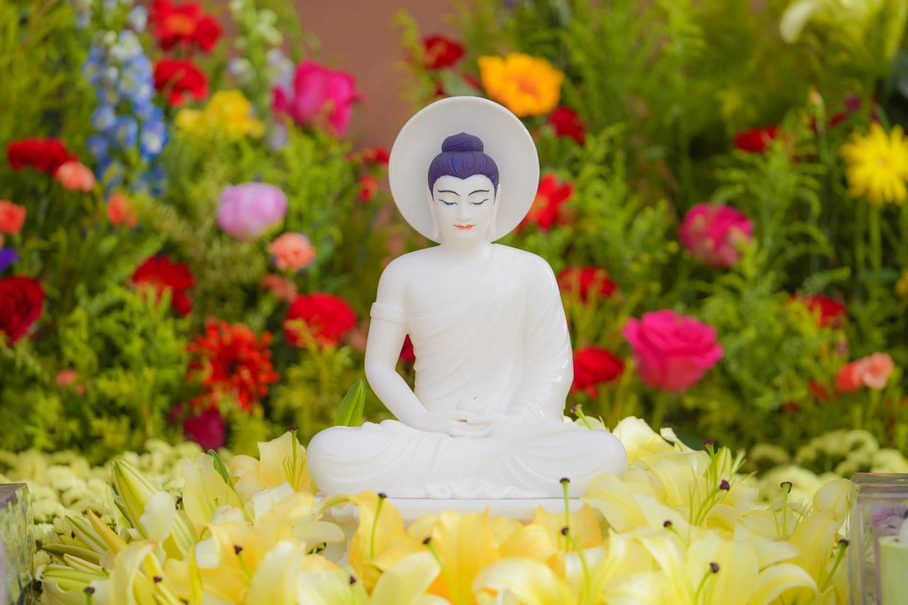 悟公上人：心念不空过，能灭诸有苦