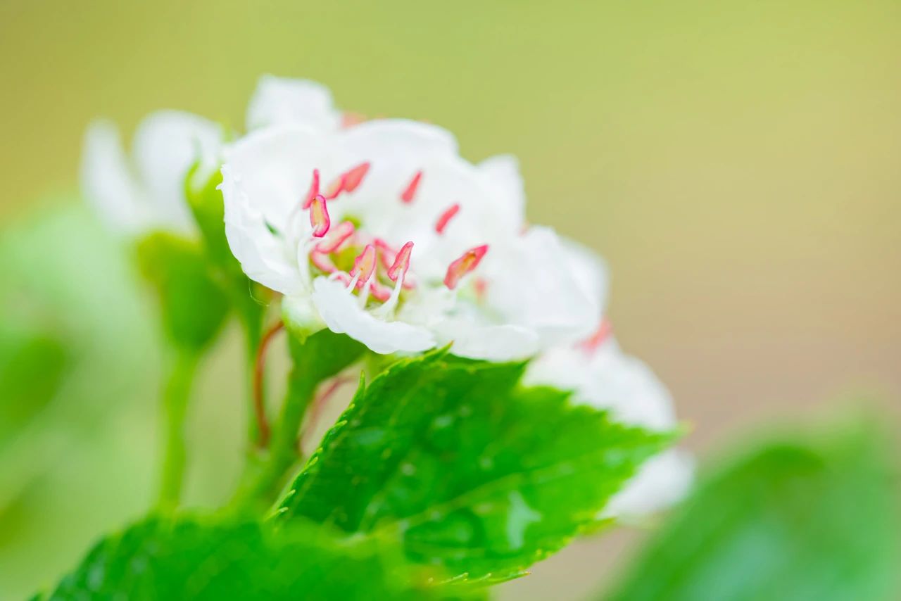 悟公上人：心念不空过，能灭诸有苦